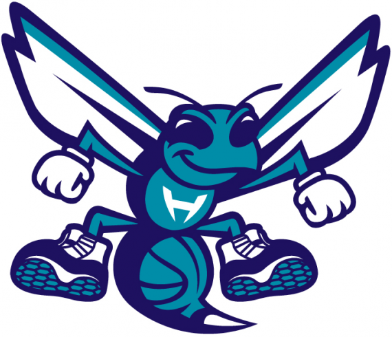 Charlotte Hornets 2014-Pres Mascot Logo iron on heat transfer